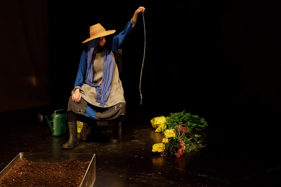 TERRA photo Jesus Romero (3)